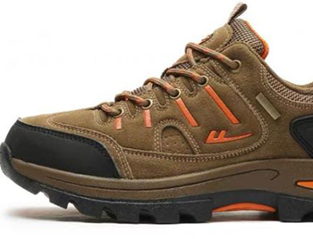 INTRODUCTION OF DIFFERNT SOLE