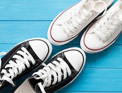 What are the Popular Canvas Shoes?